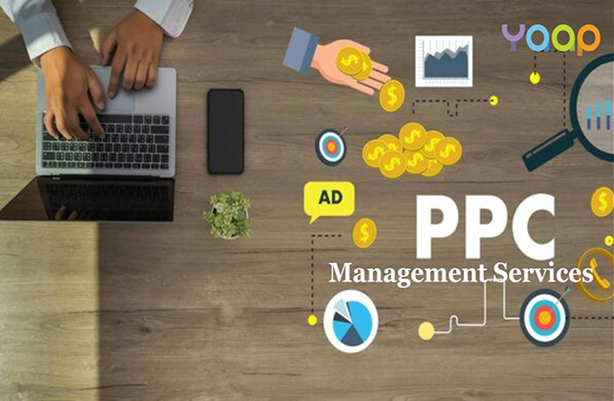 Google Ads & PPC